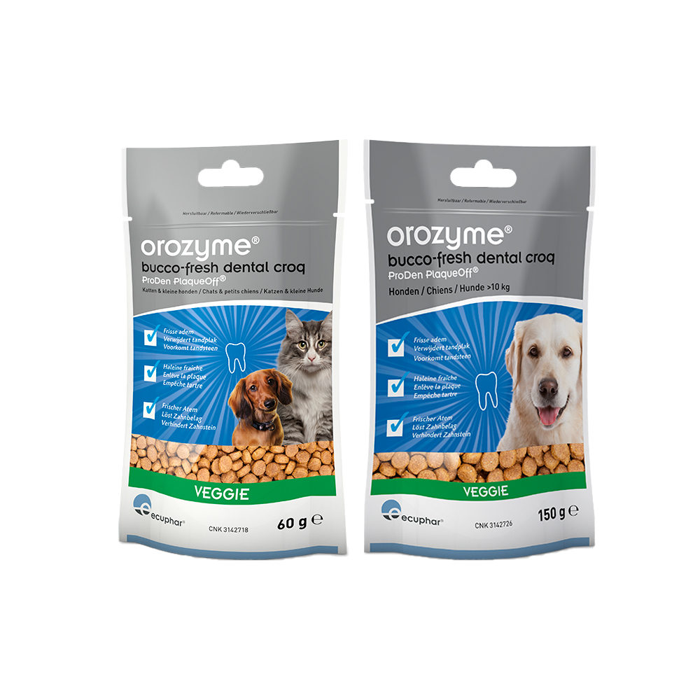 Orozyme Bucco-Fresh Dental Croqs
