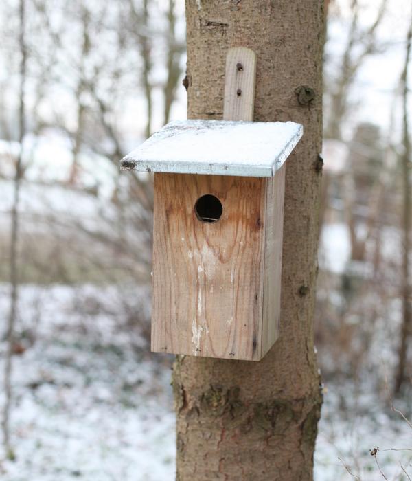 Esschert Design Beobachtungsnistkasten