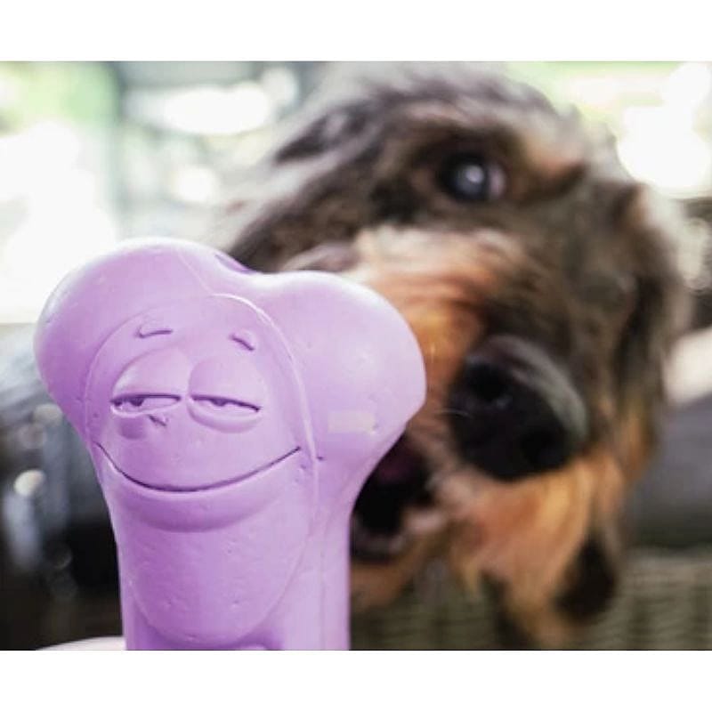 Moodies, natuurlijke rubberen kauwbotten met geurtjes Hond | Paars | 15082.3