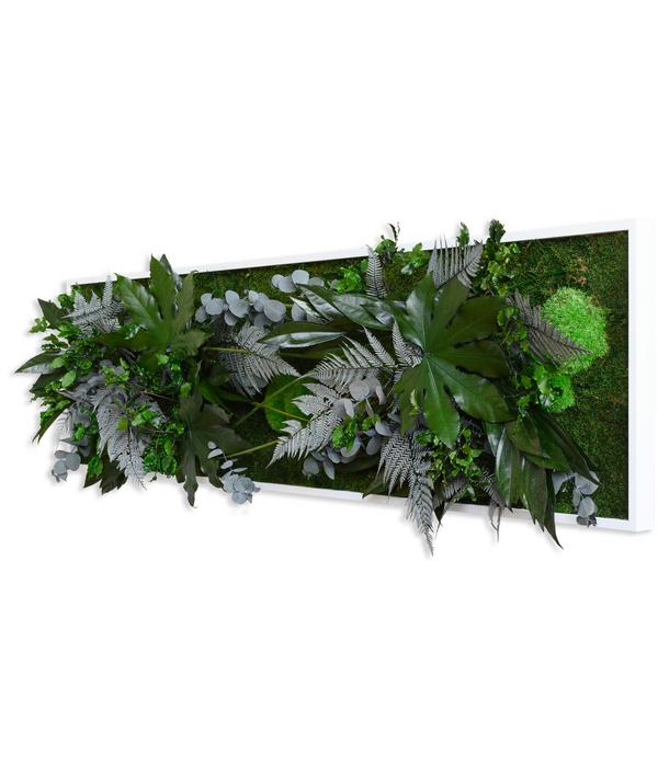 styleGREEN Bild im Dschungeldesign,