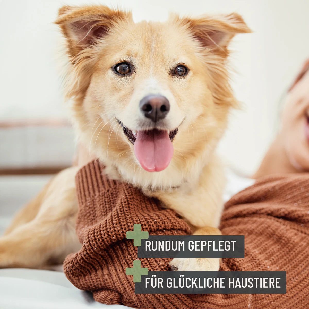 Fellpflege Profi-Set - ReaVET