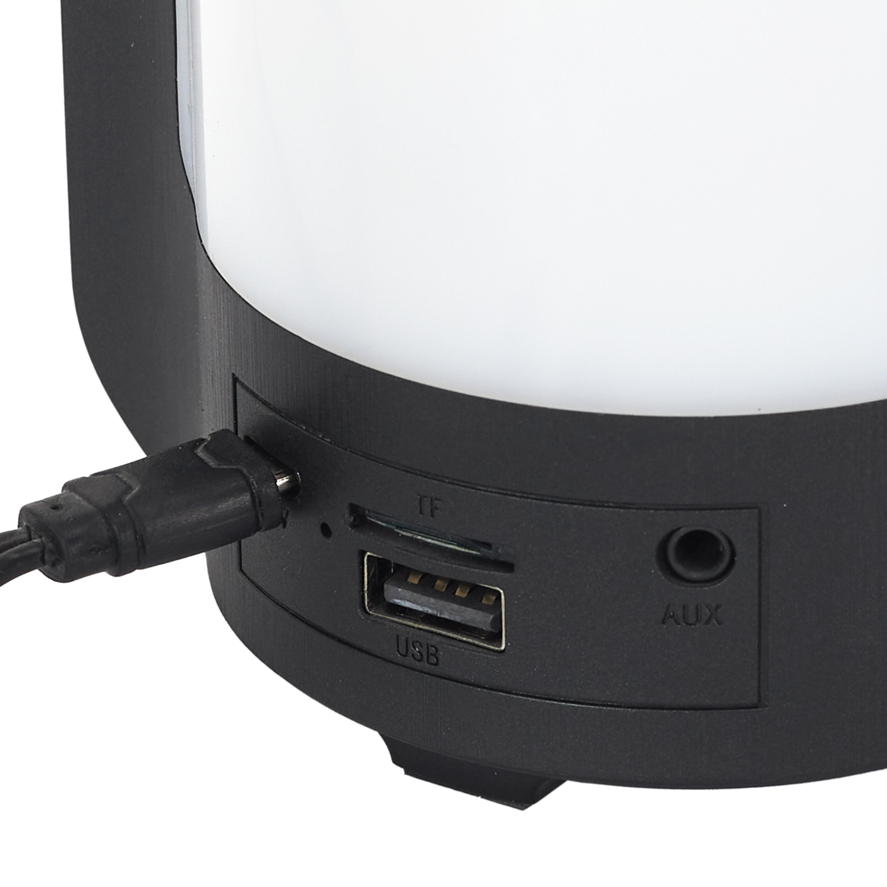 ENCEINTE PORTABLE LED SANS FIL 27.5CM