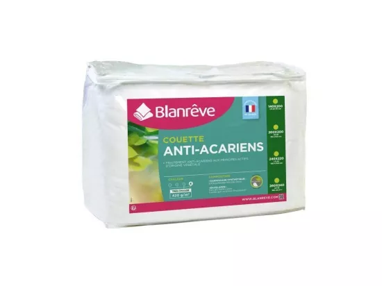 BLANREVE Couette tres chaude Percale - Anti-acariens - 420g/m2 - 200x200cm