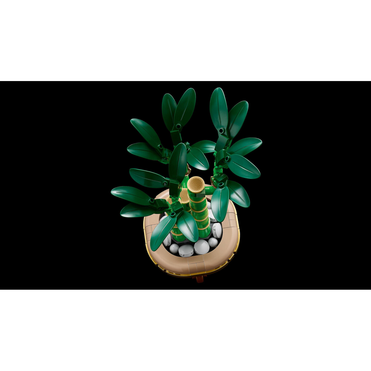LEGO® Botanicals 10344 Glücks-Bambus aber 18 Jahren