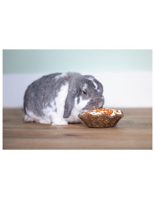Beeztees Saladebakje - Knaagdiersnack - Wortel Pastinaak 115 g