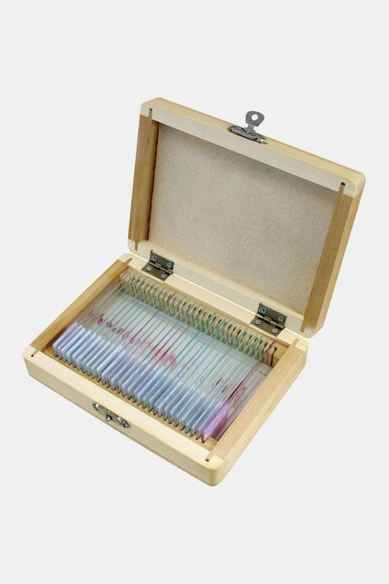 Bresser Bresser Microscoop Preparaten 30 Stuks, Histologie