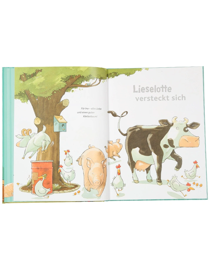Das neue große Lieselotte Geschichtenbuch