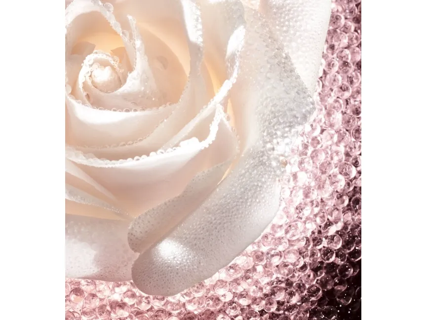 DIOR PRESTIGE LA MICRO-CAVIAR DE ROSE 75ML