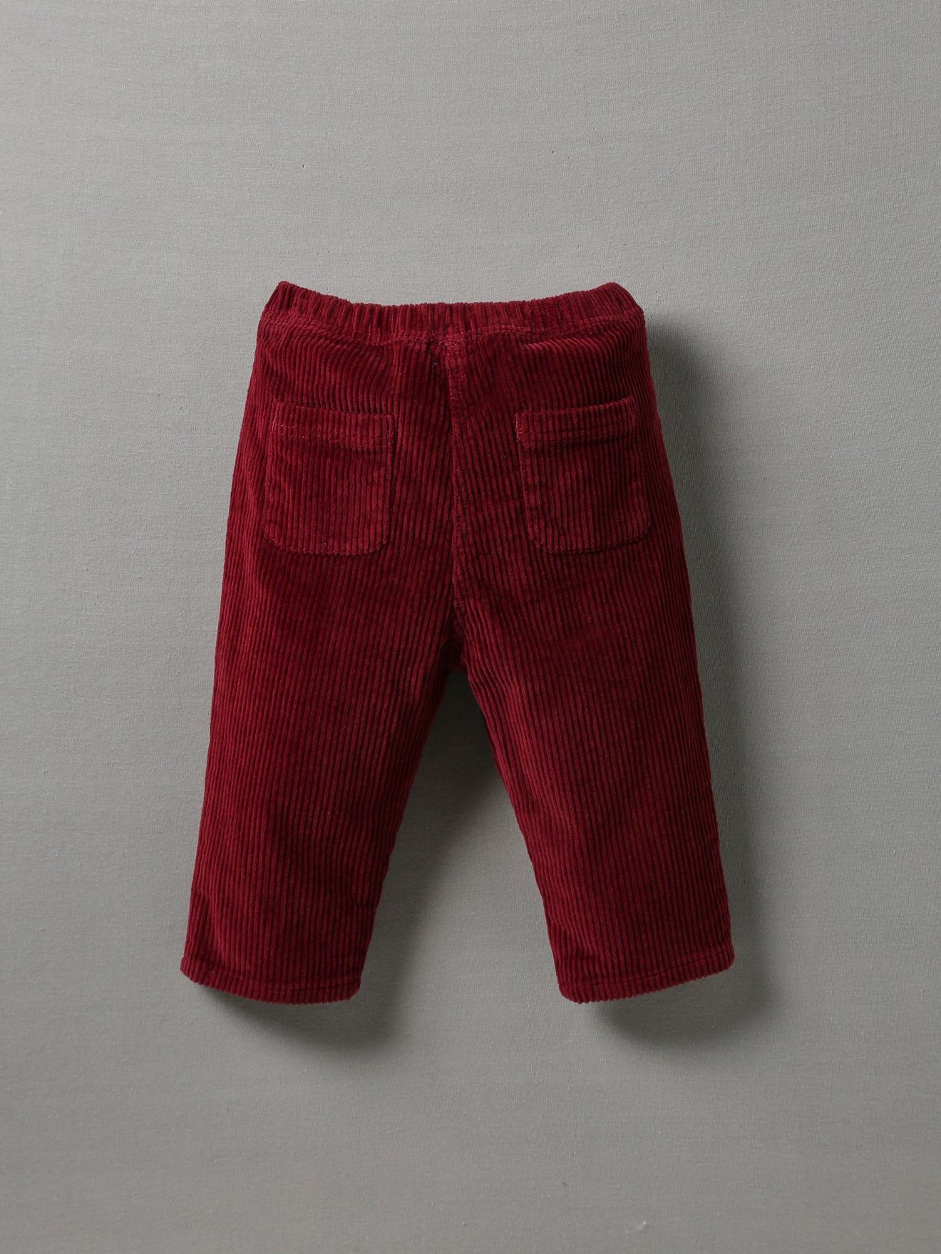 Pantalon Bébé en velours