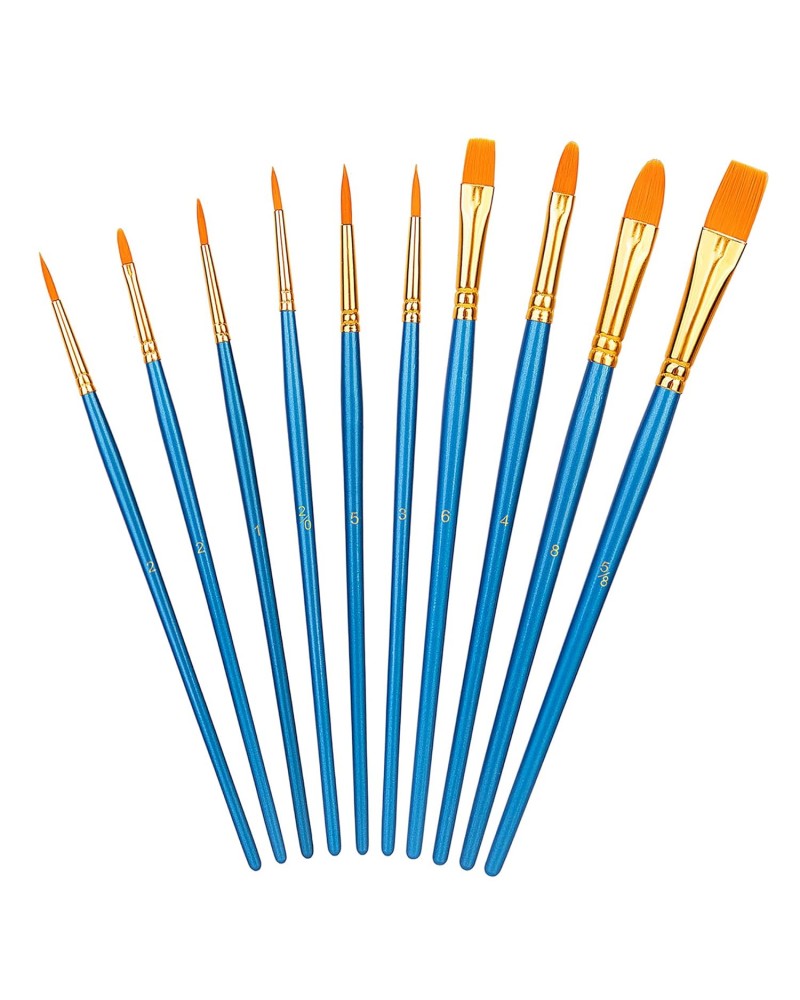 Set de 10 Pinceaux et Brosses premium
