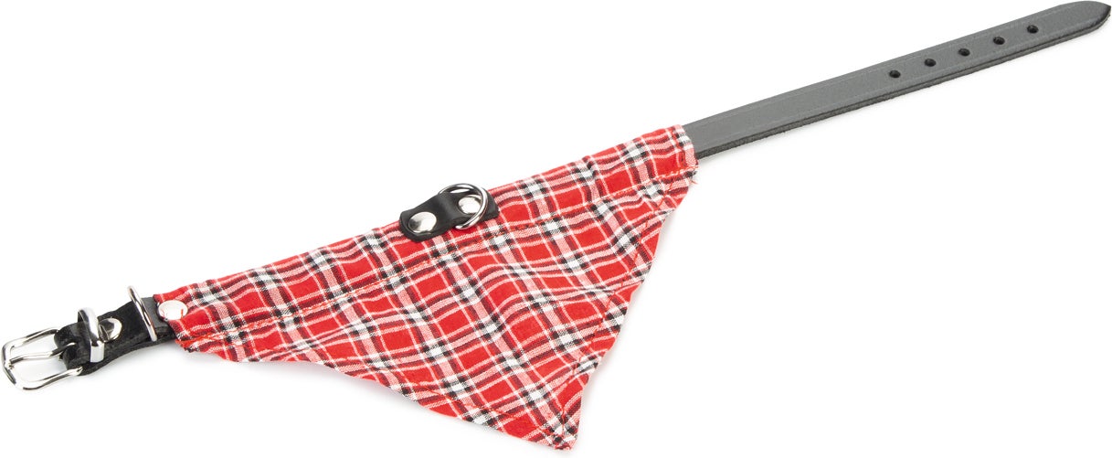 Beeztees halsband met rood doekje Ø40cm
