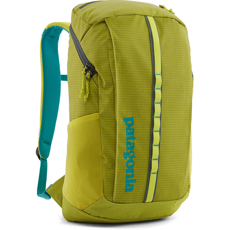 Patagonia Black Hole 25L Rucksack