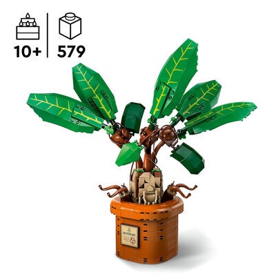 LEGO Harry Potter 76433 Alruneplante