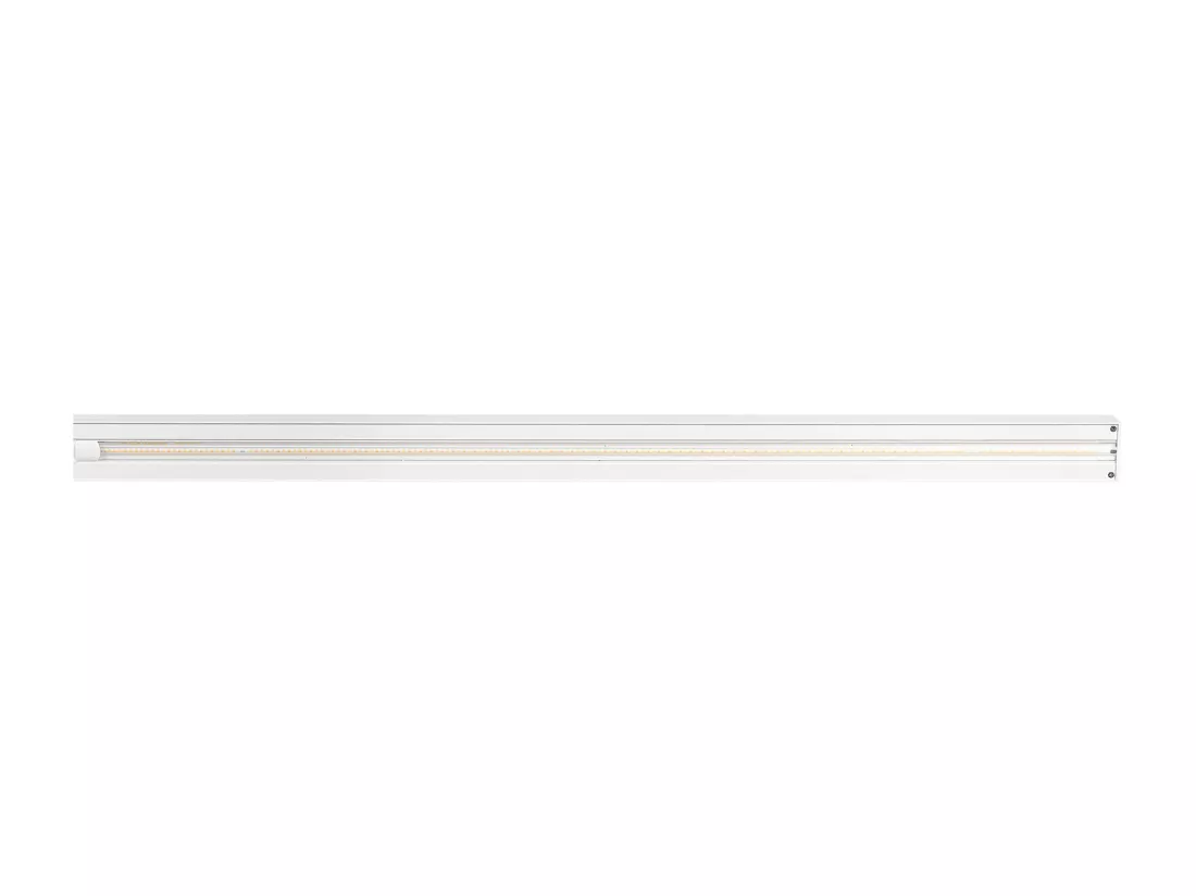 Lampe de bureau LED à pince VOLANS Avec variateur Métal Blanc