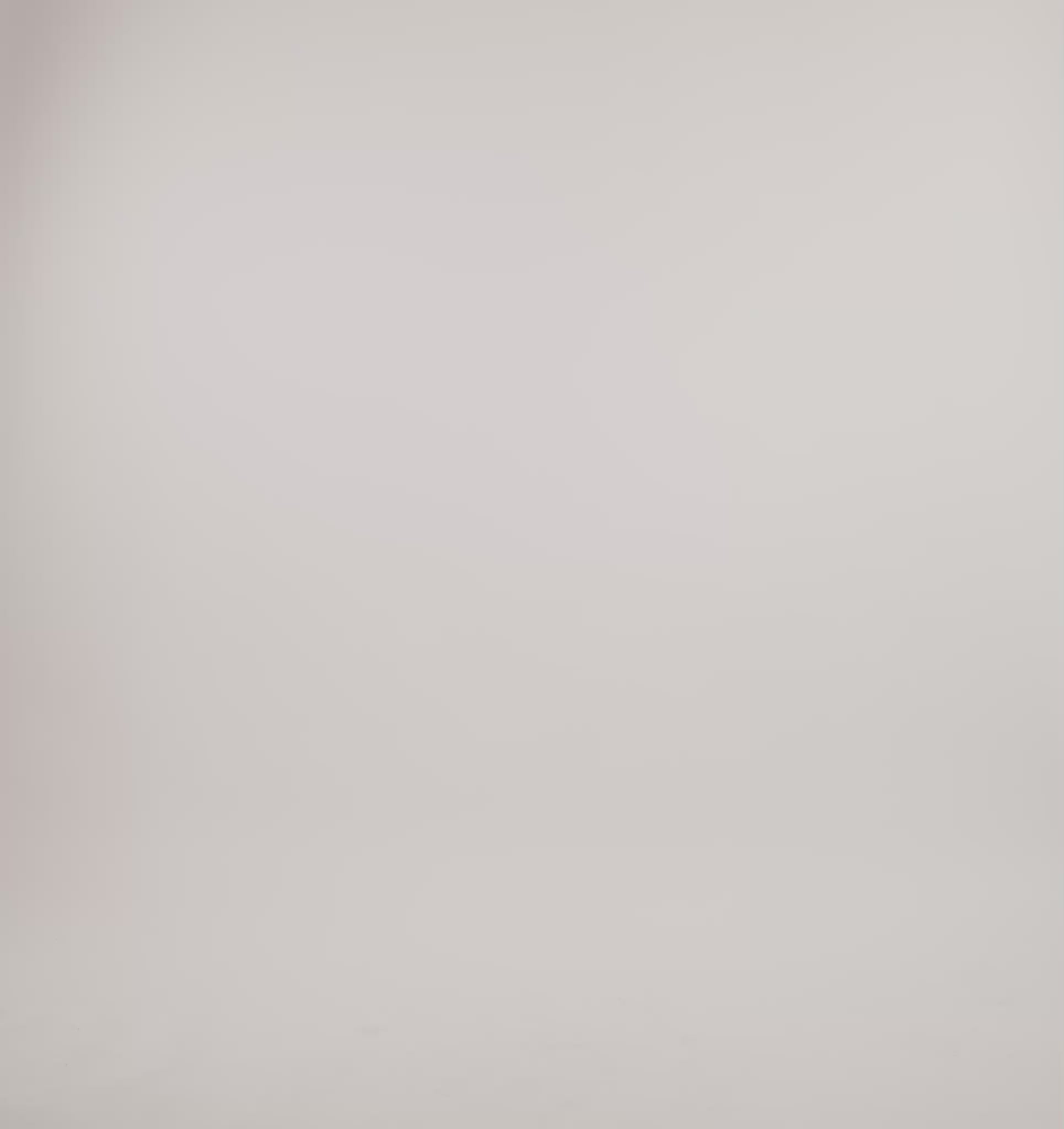 RECYCLED NYLON<br>Active Leggings