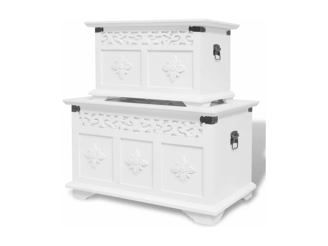 Ensemble de deux coffres de rangement Blanc