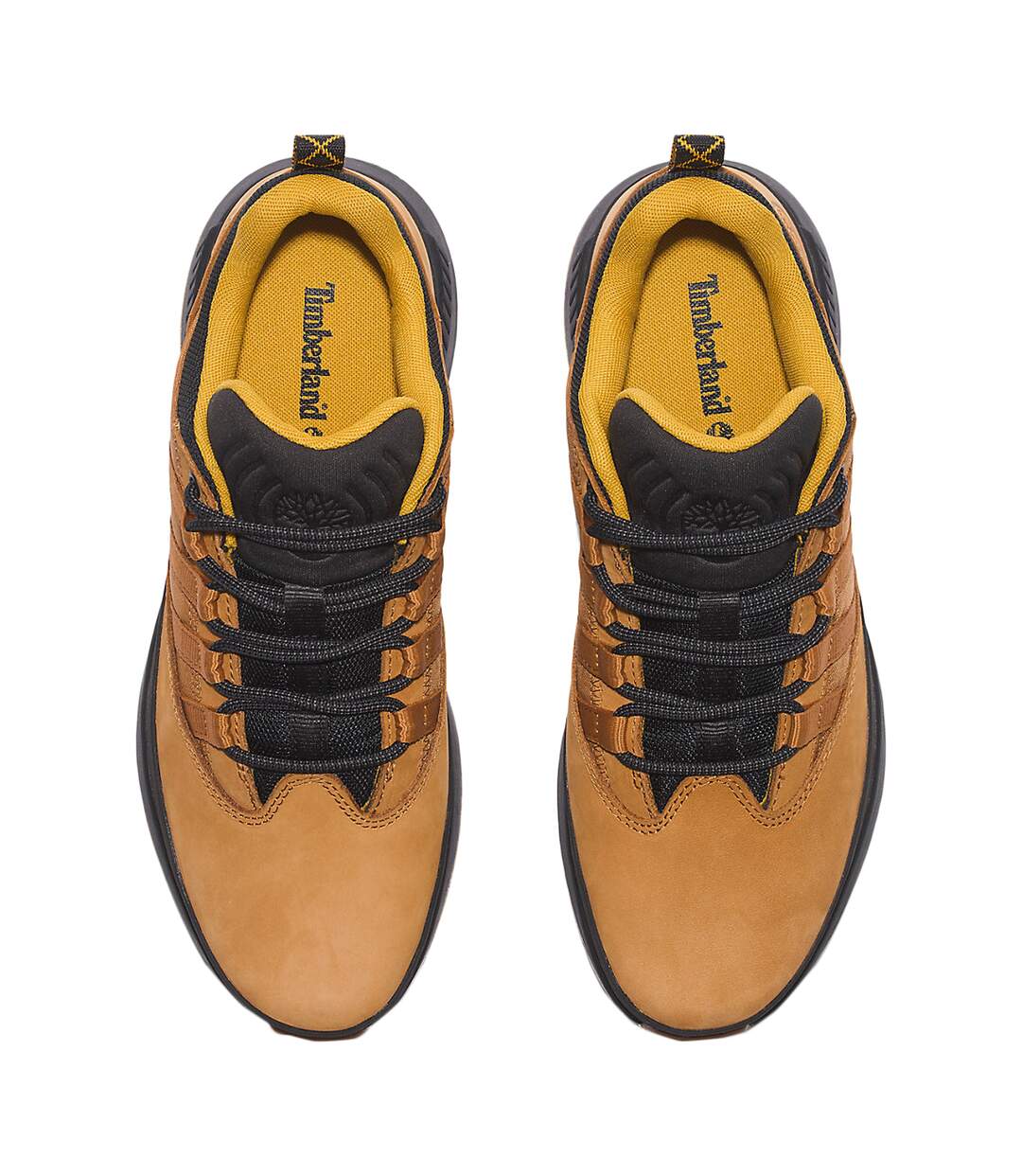 Basket Basse Cuir Timberland Euro Trekker Low