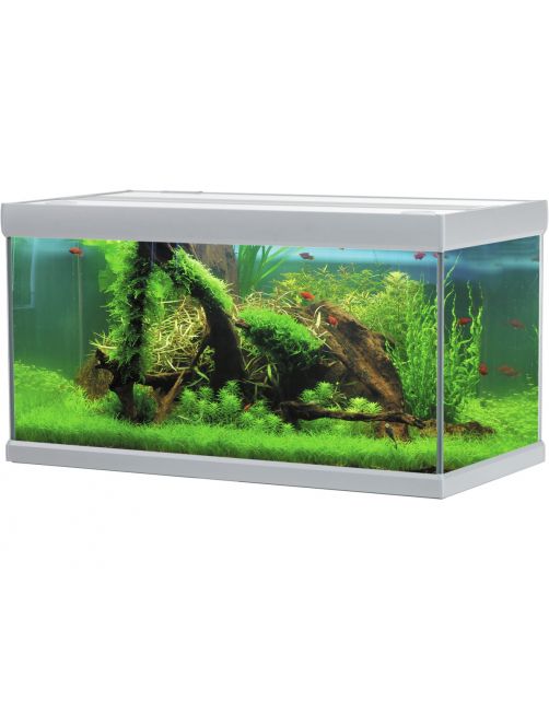 Akvastabil Fusion Aquarium 100 - Aquaria - 100x50x54 cm Zilver Wit Ca. 250 L