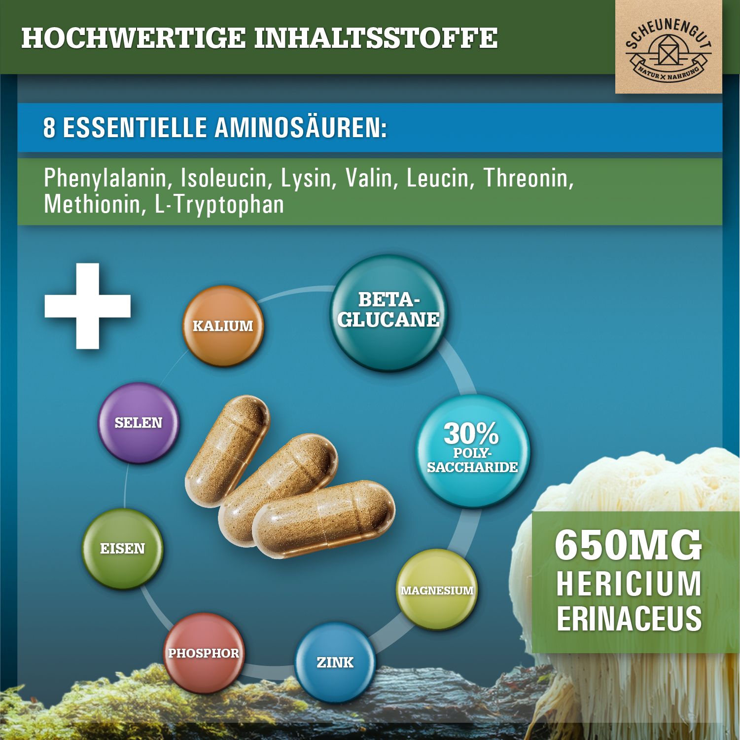 Scheunengut® Lions Mane | hochdosierter Hericium Erinaceus Extrakt 30:1 | 30% Polysaccharide