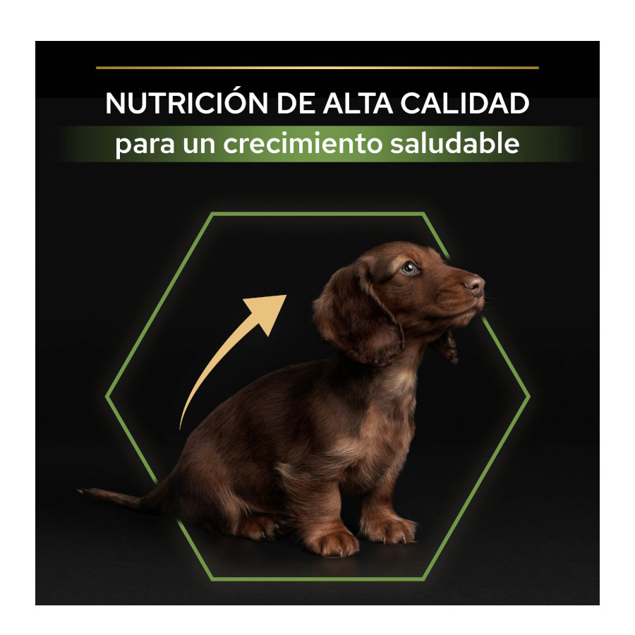 Ração Pro Plan Puppy para Cães de Pequeno e Miniatura com Frango