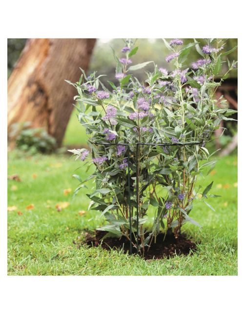 Nature Plantensteun Staand Half Rond Groen - Klim-En Geleide Artikel