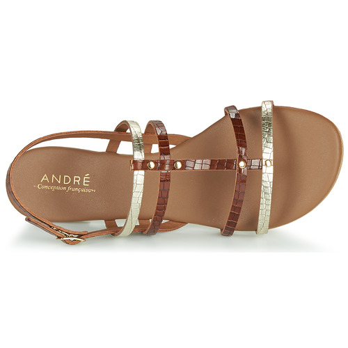 André - MANDIE - Camel