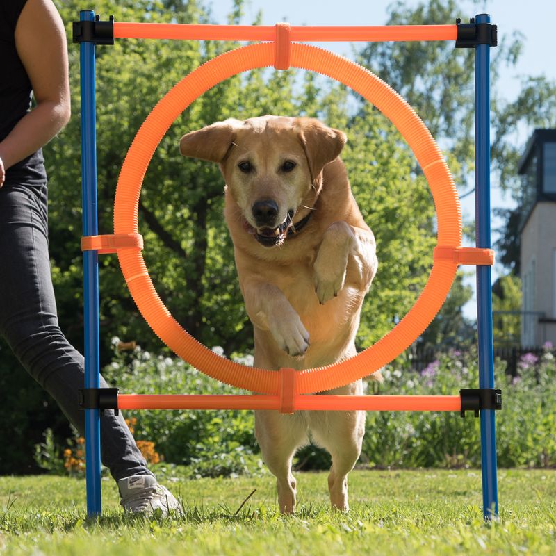 Cerceau Agility Fun & Sport à prix discount sur bitiba.fr