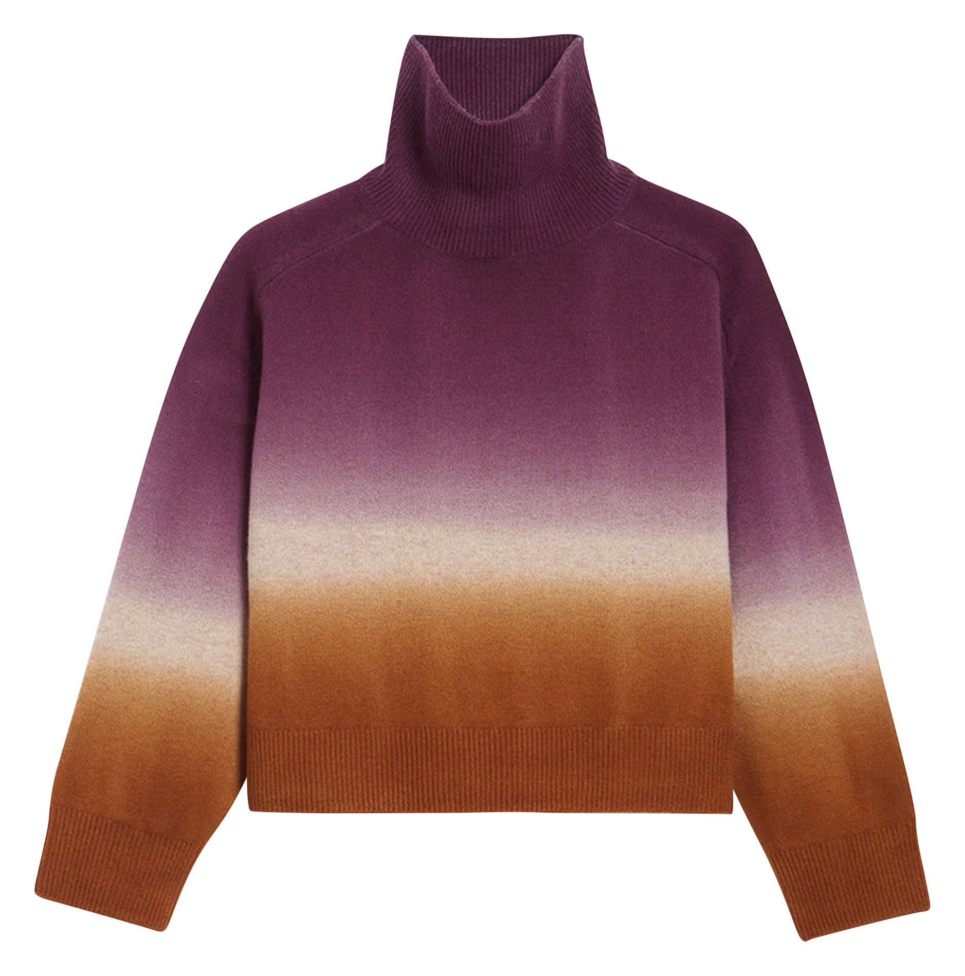 DORA - Pull col roulé en laine | Multicolore