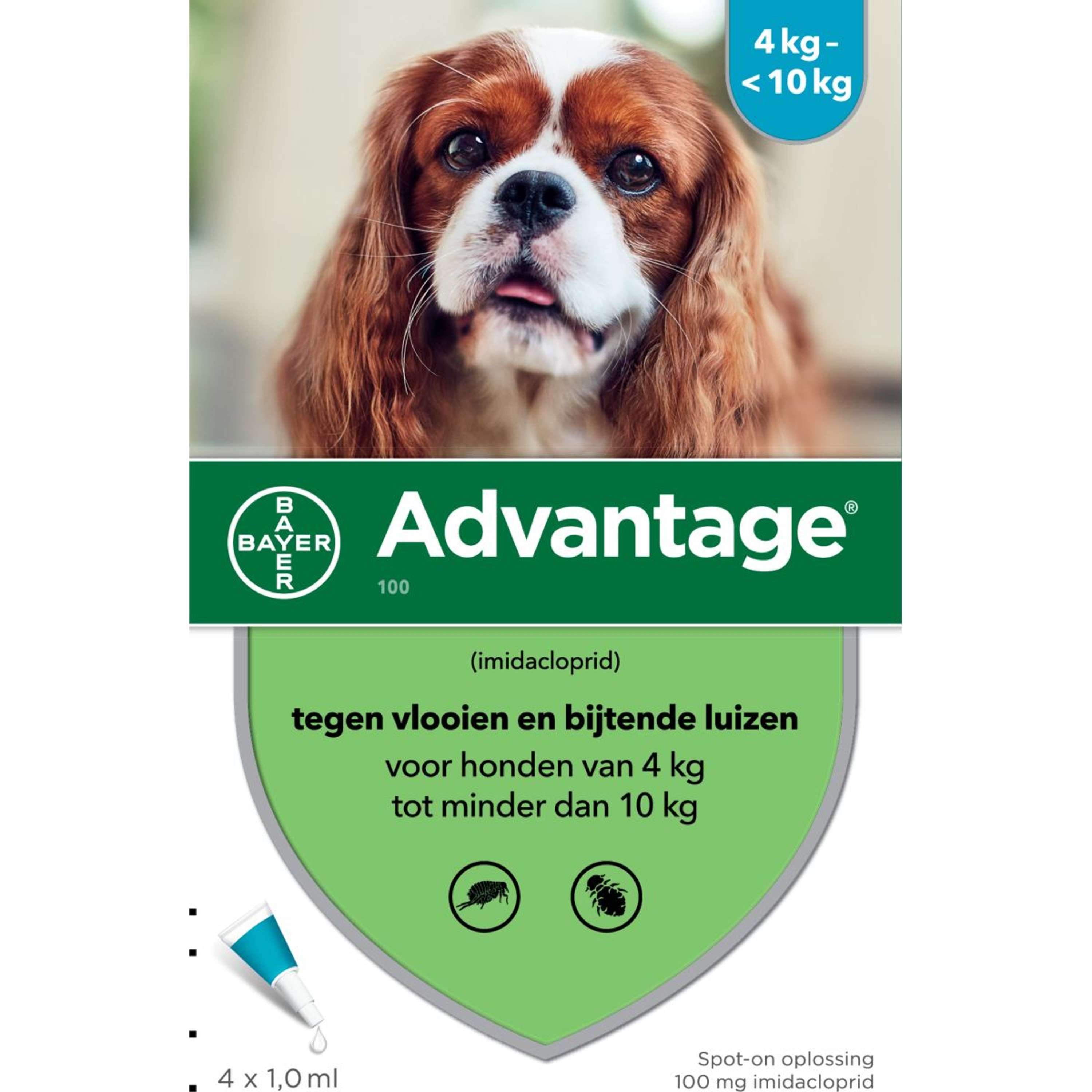 Advantage 100 Spot-on Hond 4-10kg