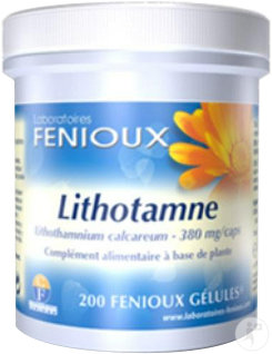 Laboratoire Fenioux Lithotamne 200 Gélules
