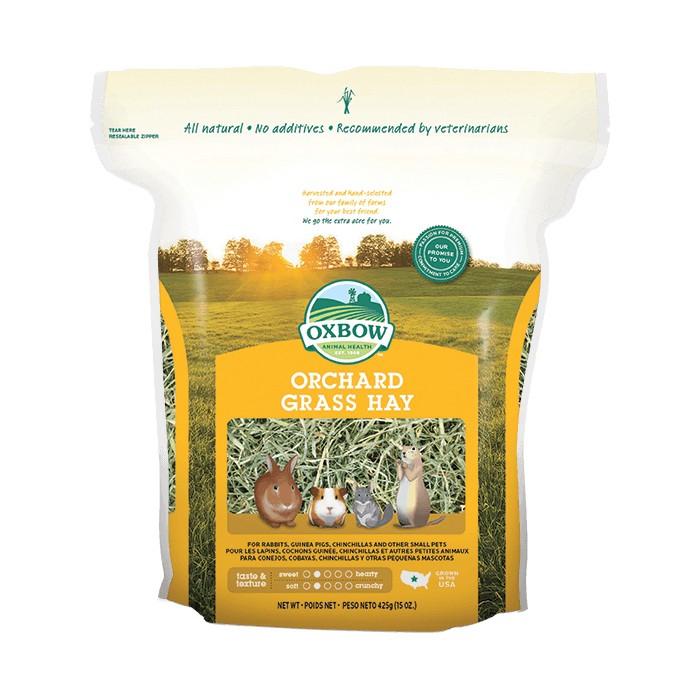 Foin Orchard Grass