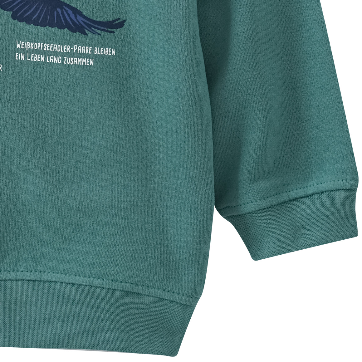 Topolino Kinder Sweatshirt mit Weißkopfseeadler-Motiv dunkelgrün