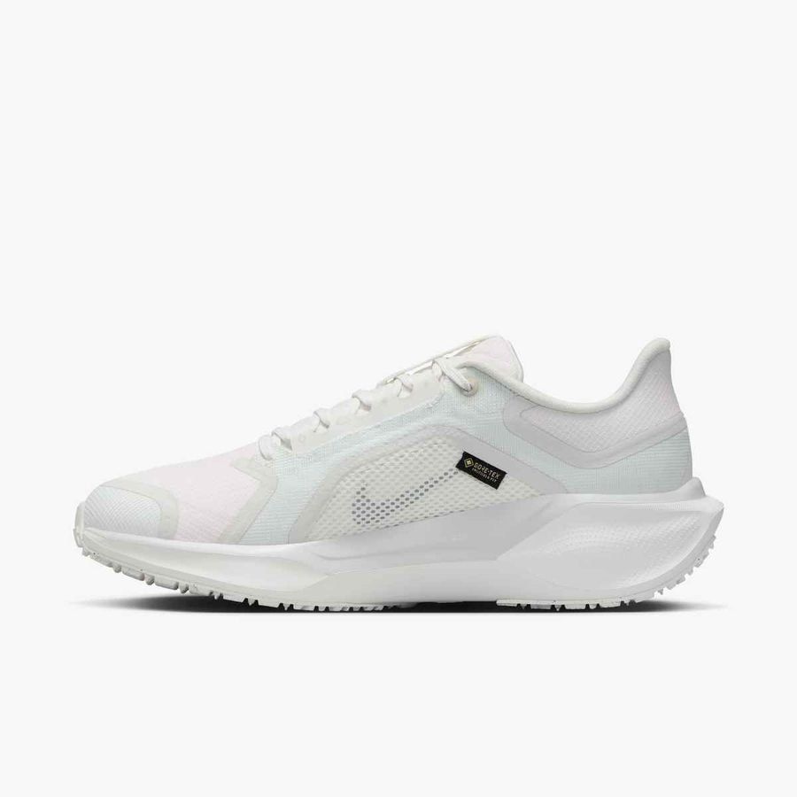 Nike Pegasus 41 GORE-TEX