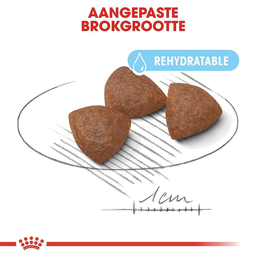 ROYAL CANIN® Medium Dog Starter 10-25Kg 12kg - Hondenvoer voor een middelgrote, drachtige of zogende teef en haar pups
