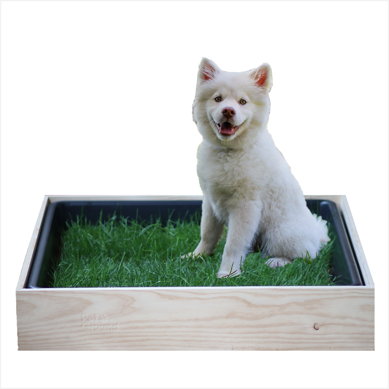 Cama para cães Petground, caixa de madeira, acessório para móveis