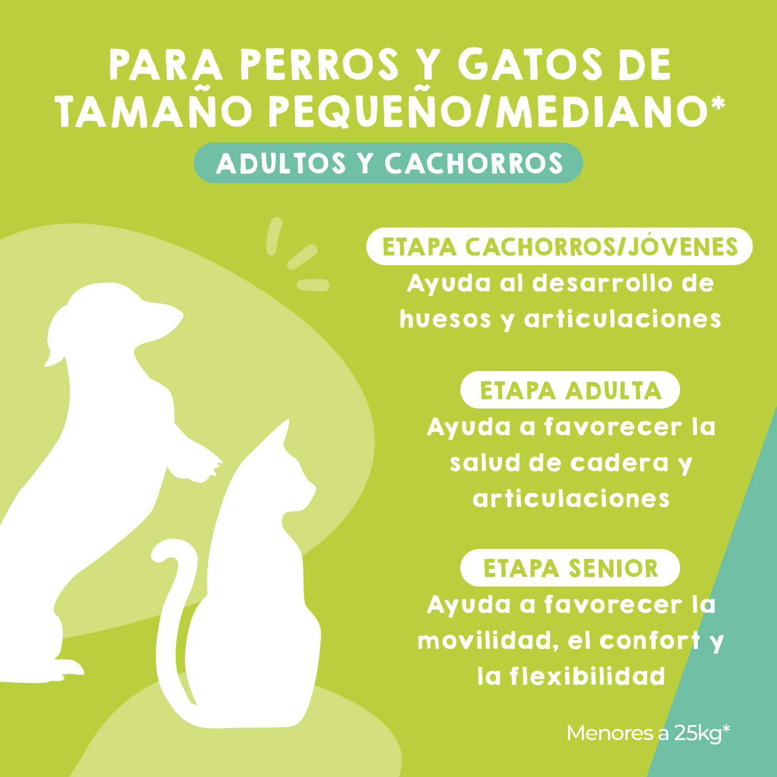 MAIKAI Chondroprotector para cães de pequeno e médio porte, 120 comprimidos.