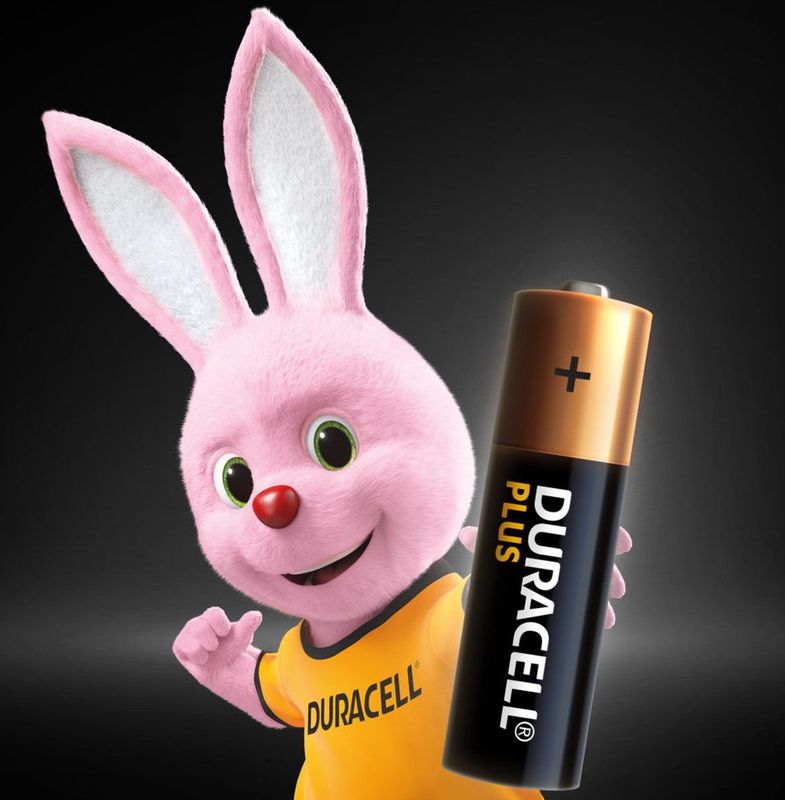 Duracell Plus 100 Wegwerpbatterij AA Alkaline