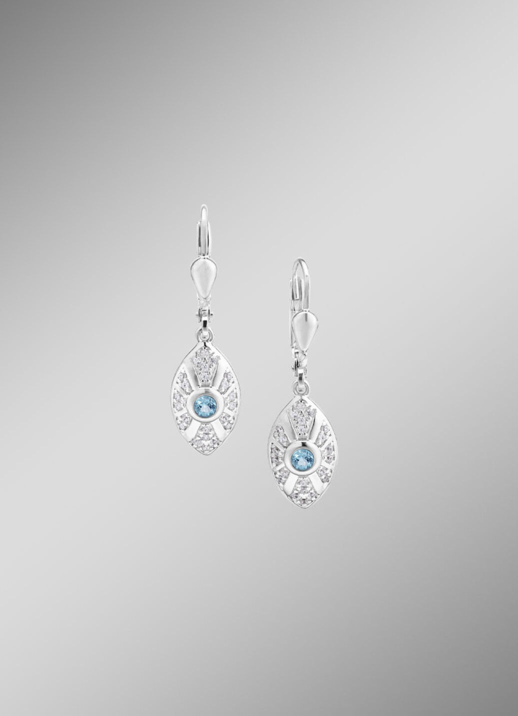 Strahlende Akzente – Exquisite Ohrringe aus Silber