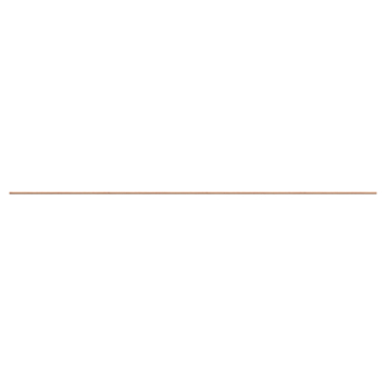 Blokhutprofiel Douglas ca. 1,8 x 14,5 cm, lengte 300 cm