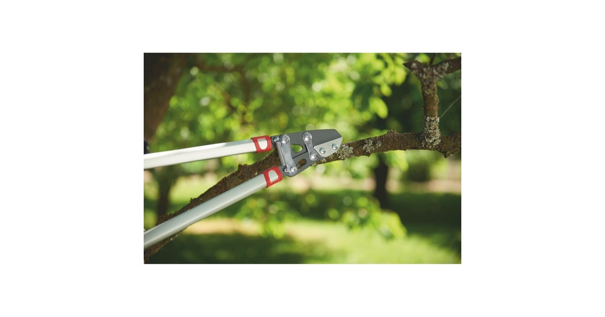 WOLF-GartenPower Cut RS 800 V takkenschaar  (Rood/zilver)