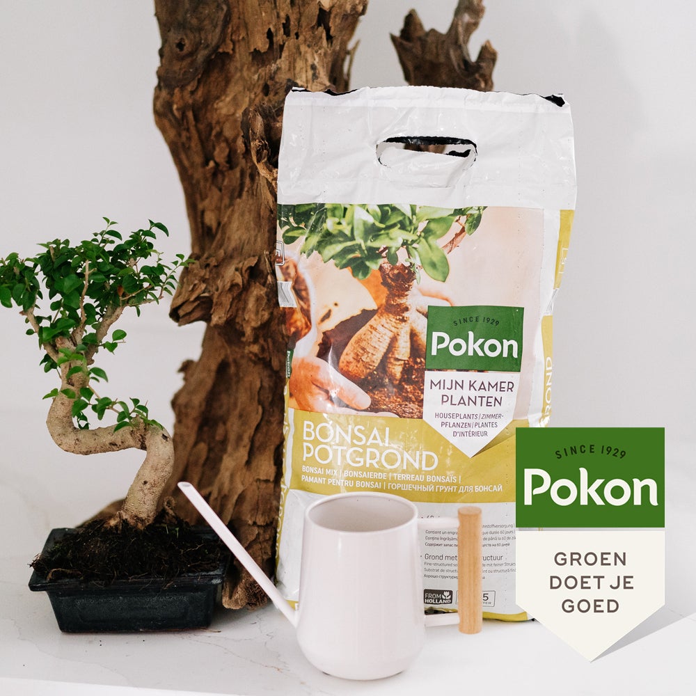Pokon Bonsai potgrond5 L