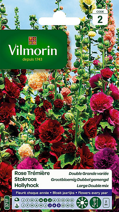 Graines de Rose Trémière Double Grande Variée Vilmorin