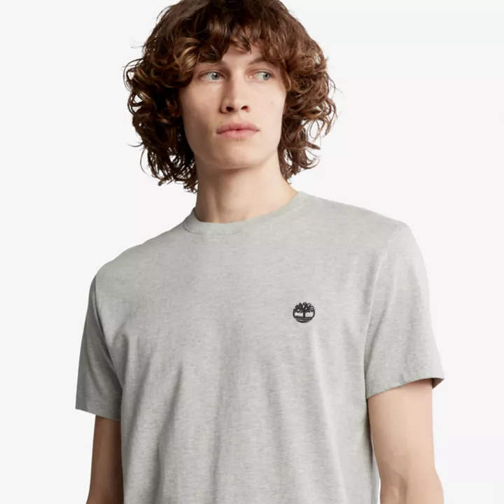 T-shirt Dunstan River pour homme en gris
