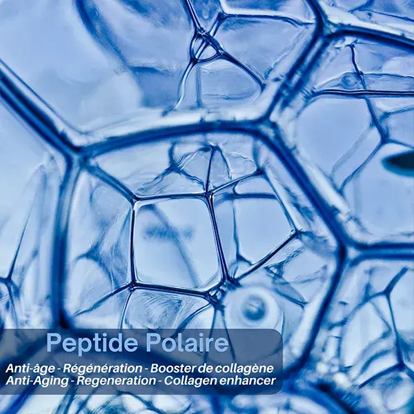 Polaar Men Anti-Ice Age Matificante Anti-Rugas com Peptídeo Polar 50ml