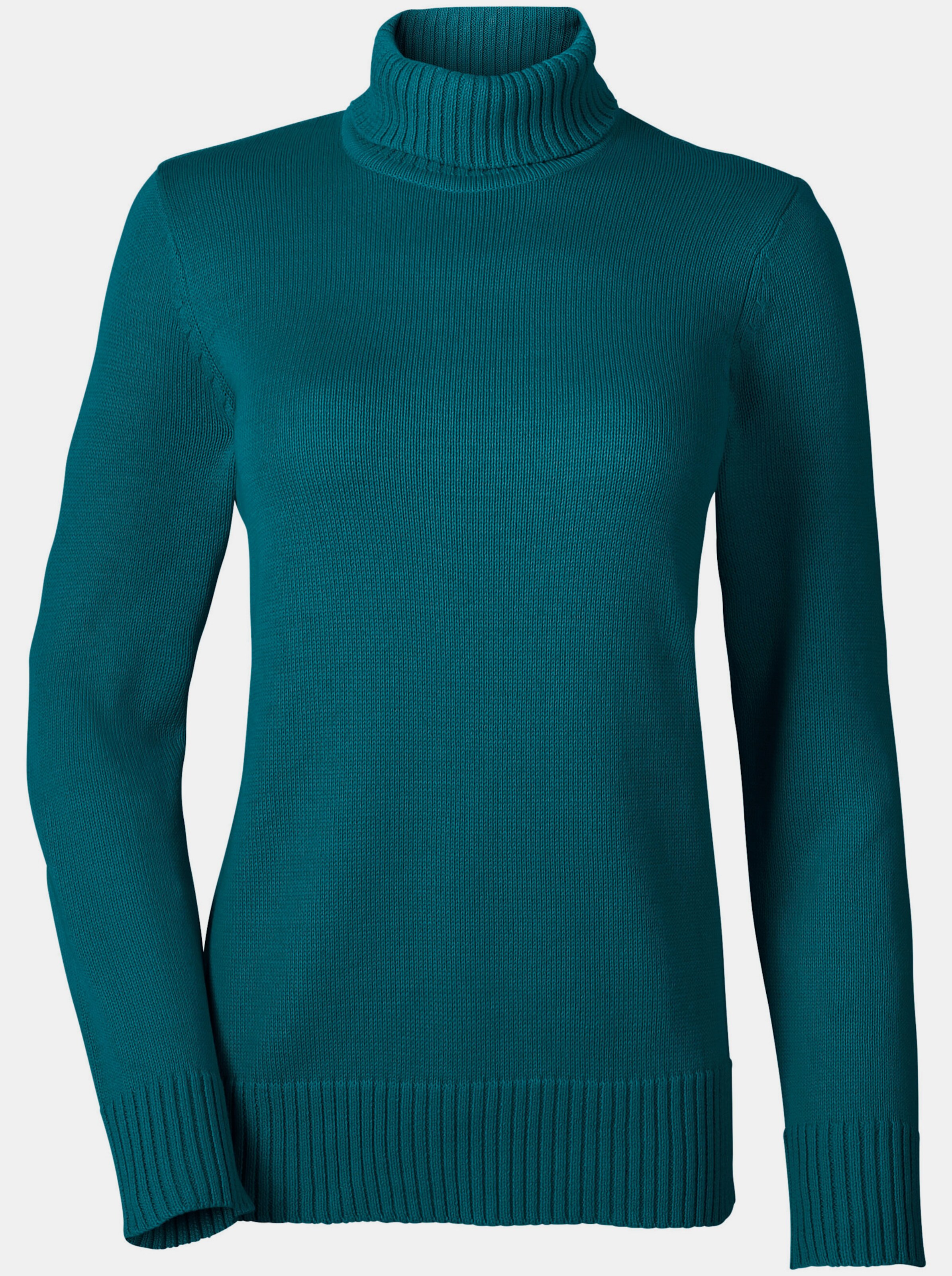 Rollkragenpullover