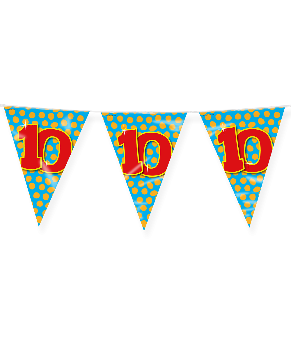 Vlaggenlijn 10 Jaar Gekleurd 10m