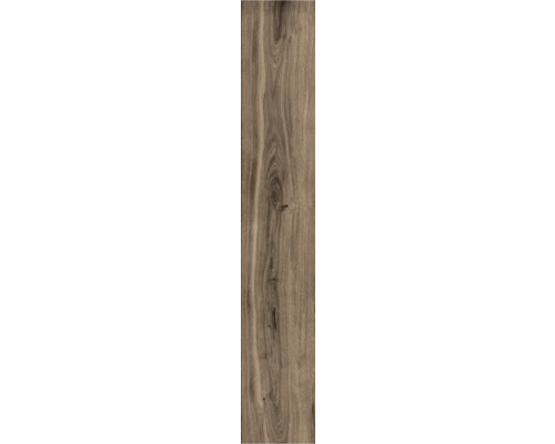 Porseleinen steengoed wand- en vloertegel Oliver Braun 20 x 119,5 x 1 cm mat gerectificeerd