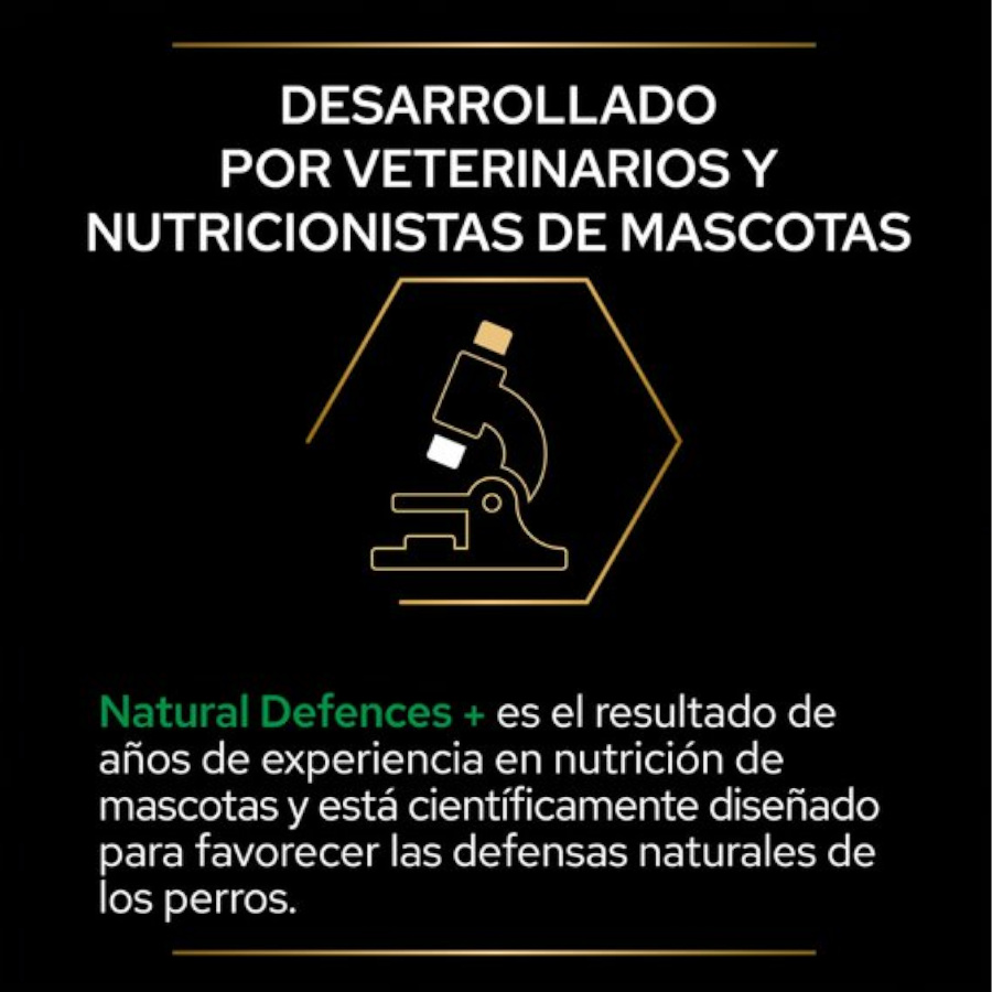 Plano Pro Relax + para cães