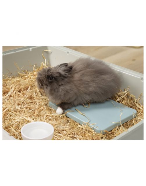 Beeztees Koelpad Brea - Kooi Accessoire - 30x20x2 cm 1013 g Mintgroen