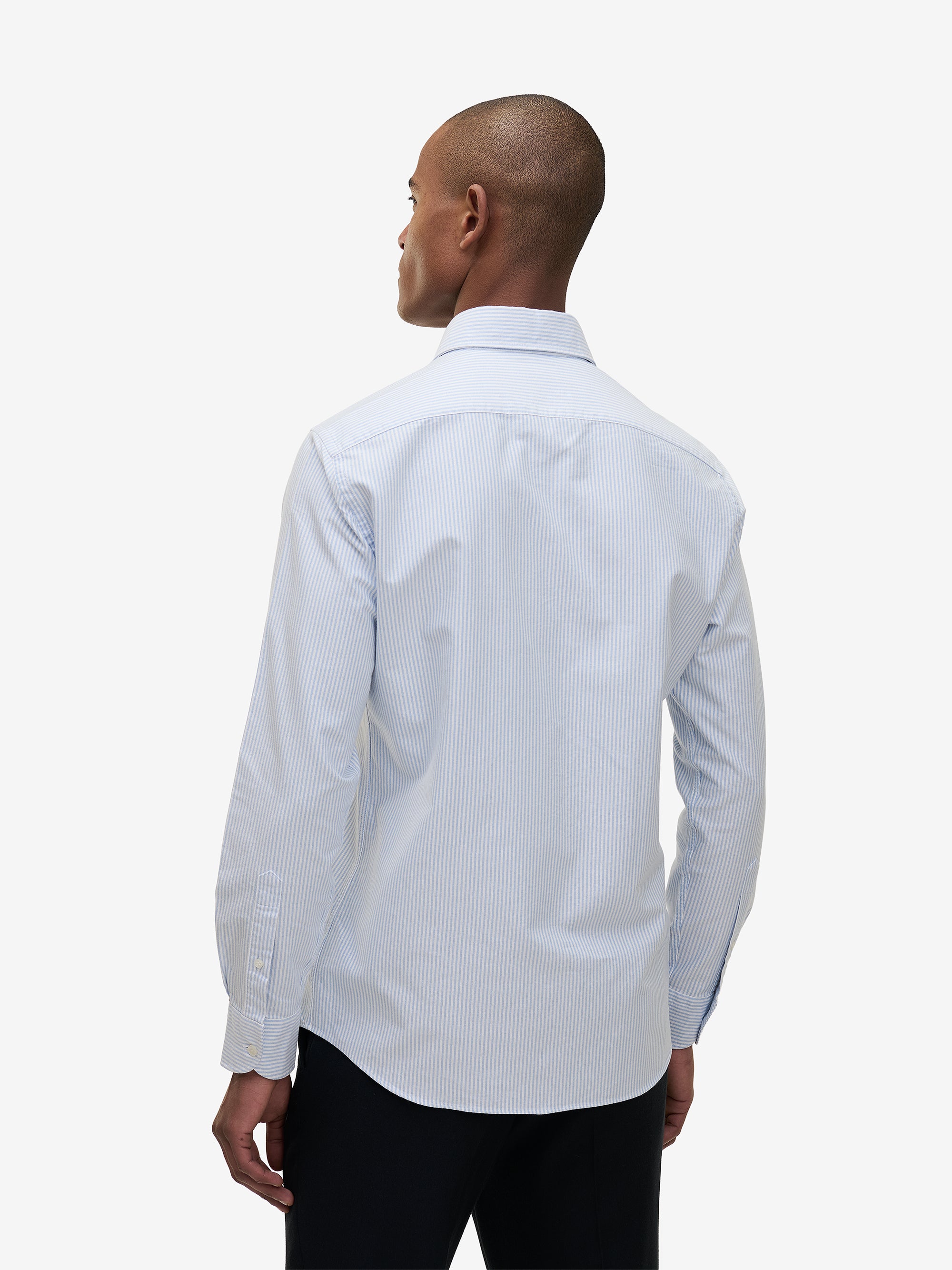 Specialist Striped Oxford Cotton SH90170-LBL